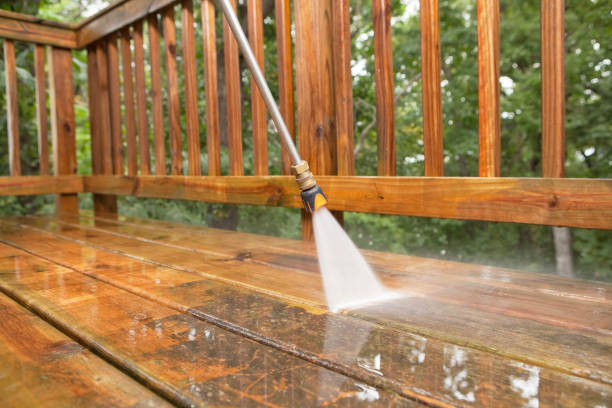 Animal Enclosure Cleaning in Heathrow, FL
